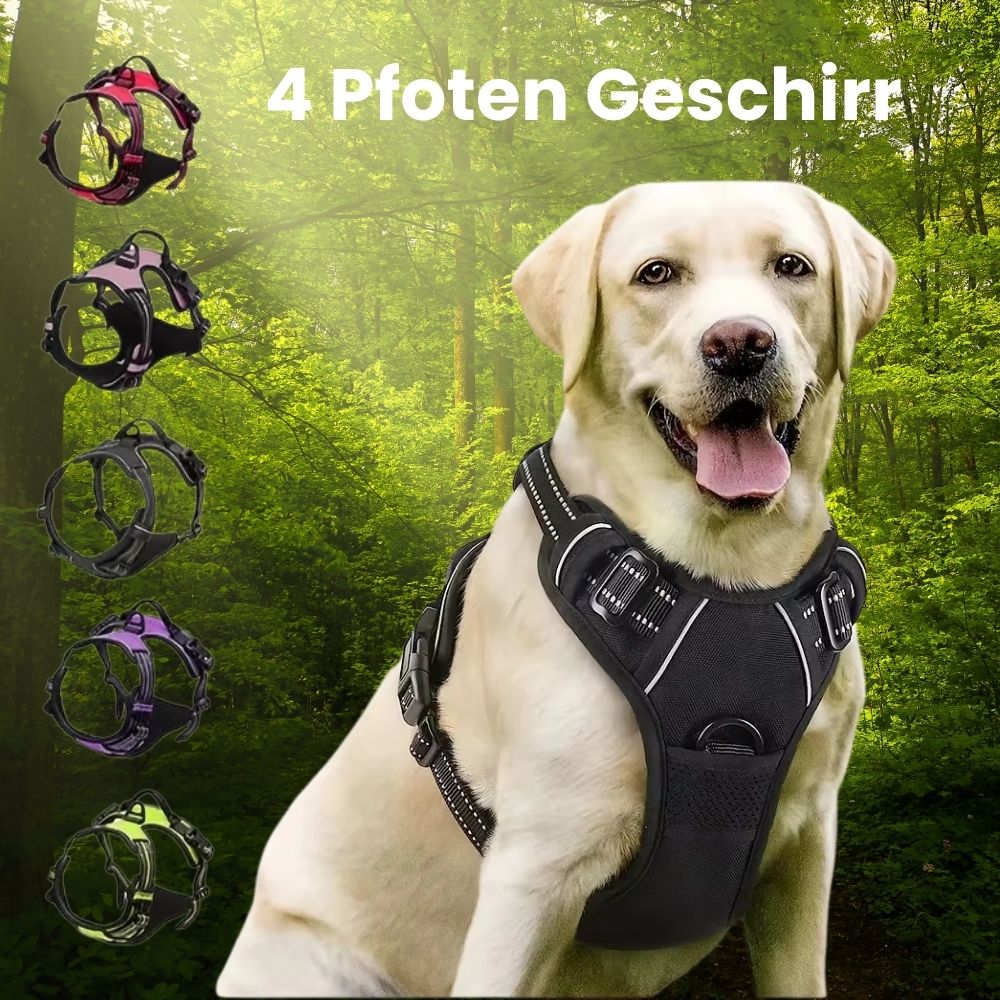 4 Pfoten Geschirr