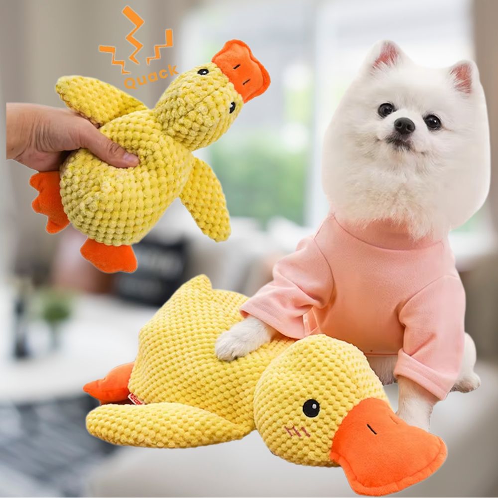 Dura Duck