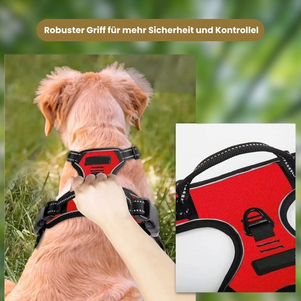 4 Pfoten Geschirr