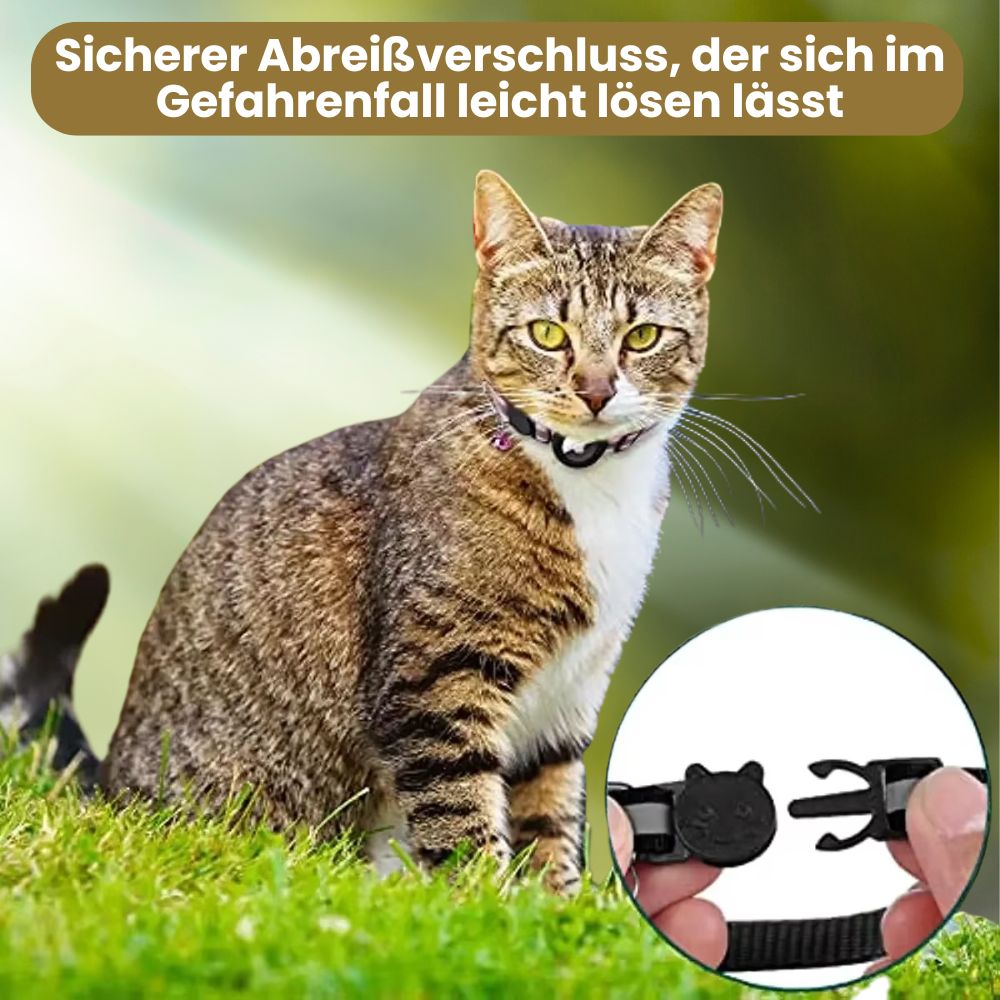 Tag Trek Katzenhalsband