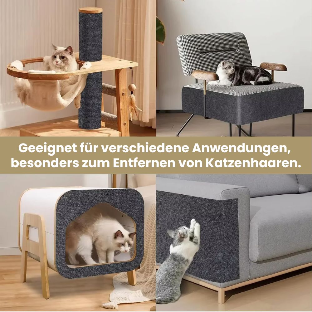 Scratch Guard
