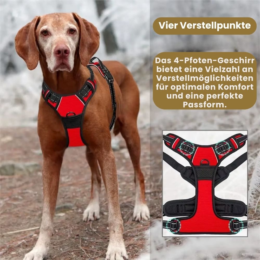 4 Pfoten Geschirr