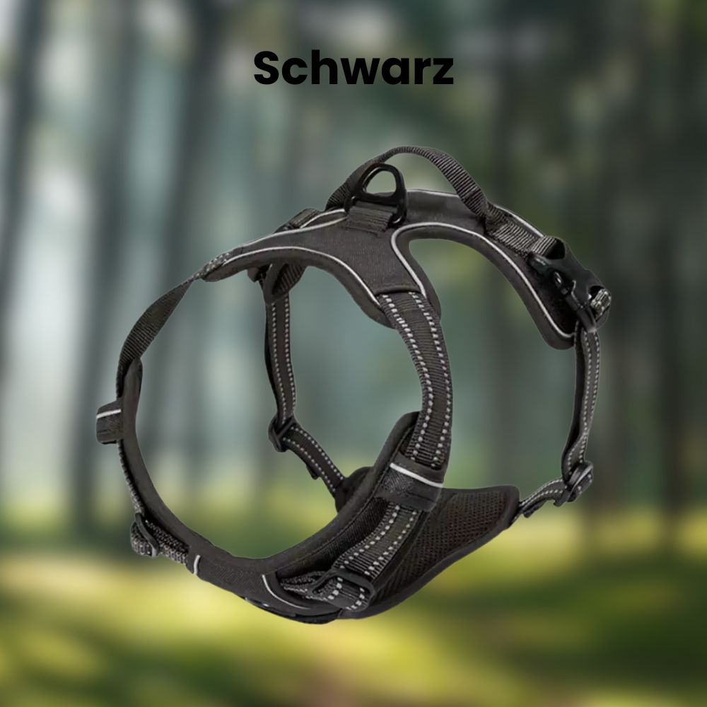 4 Pfoten Geschirr