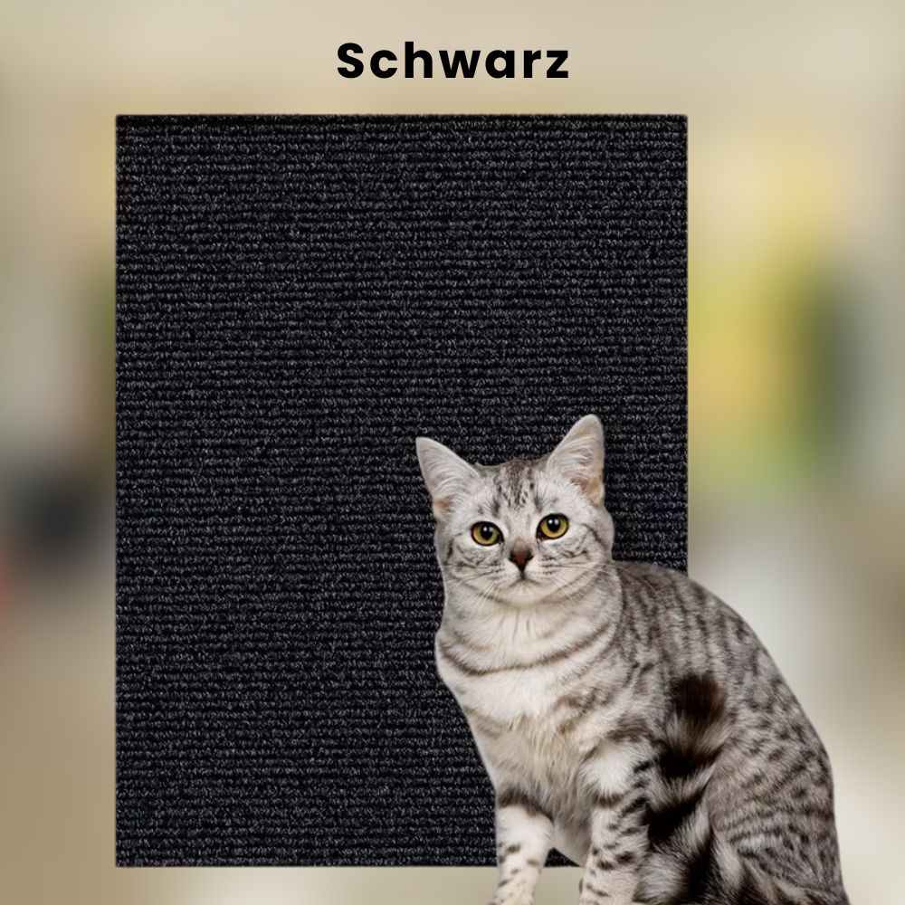 Scratch Guard