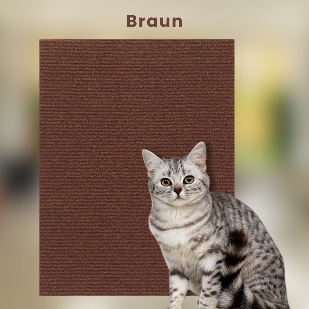 Scratch Guard