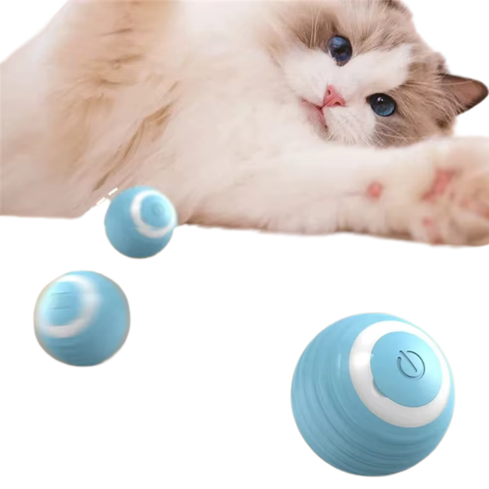 Magic Motion Cat Ball
