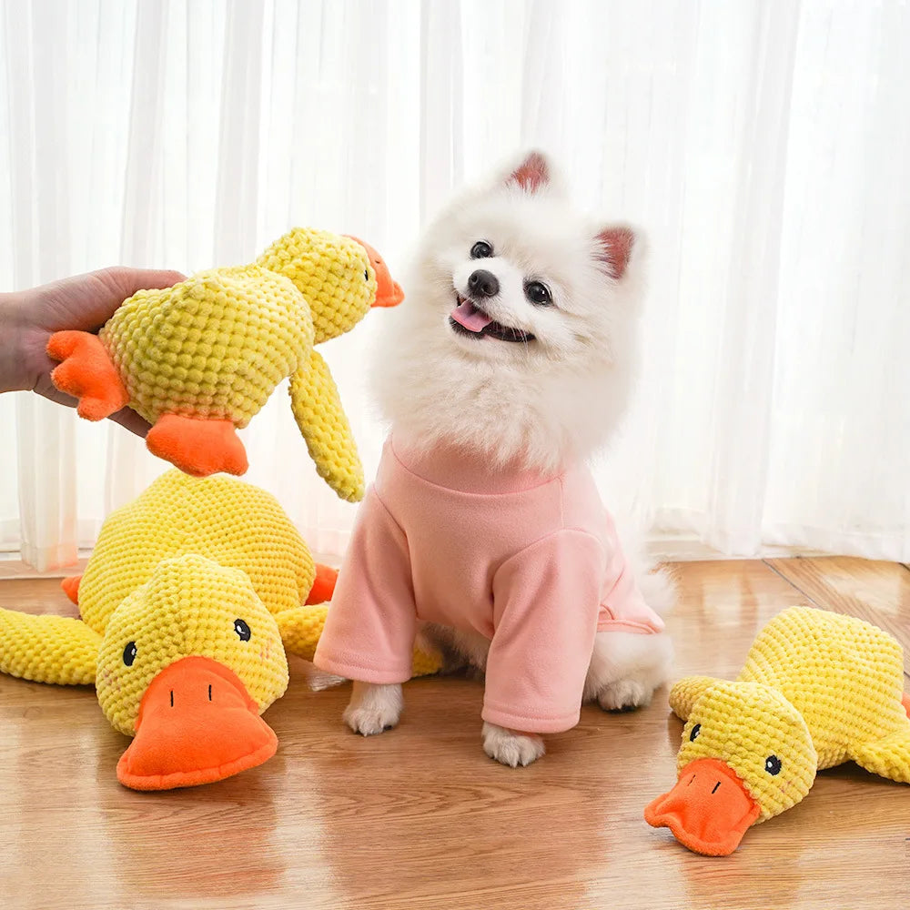 Dura Duck