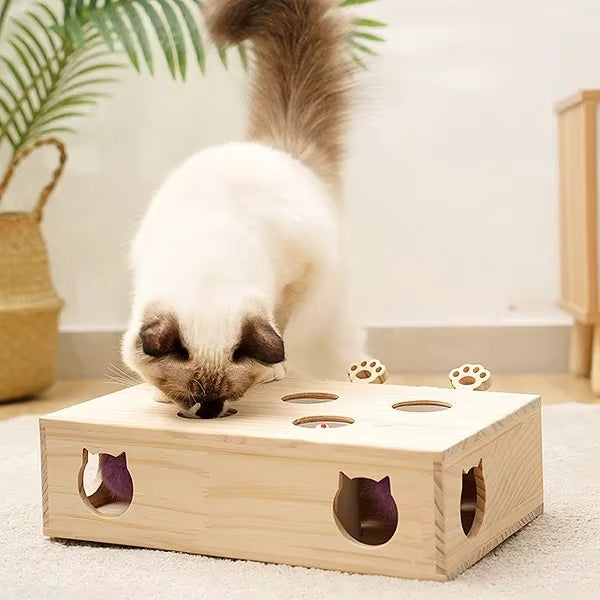 Kitty Catch