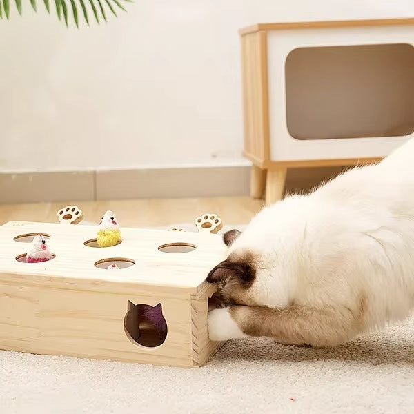 Kitty Catch