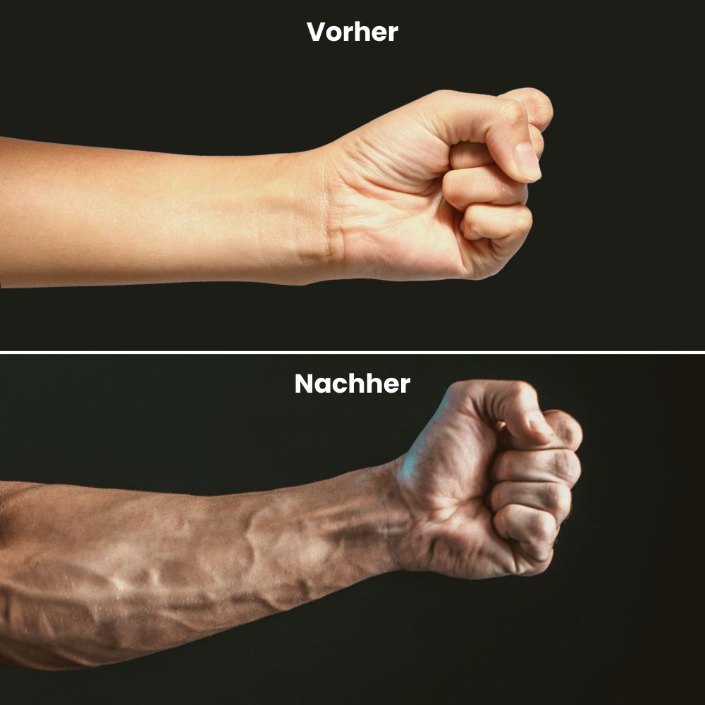 Griffkrafttrainer - Stärke, die bleibt!