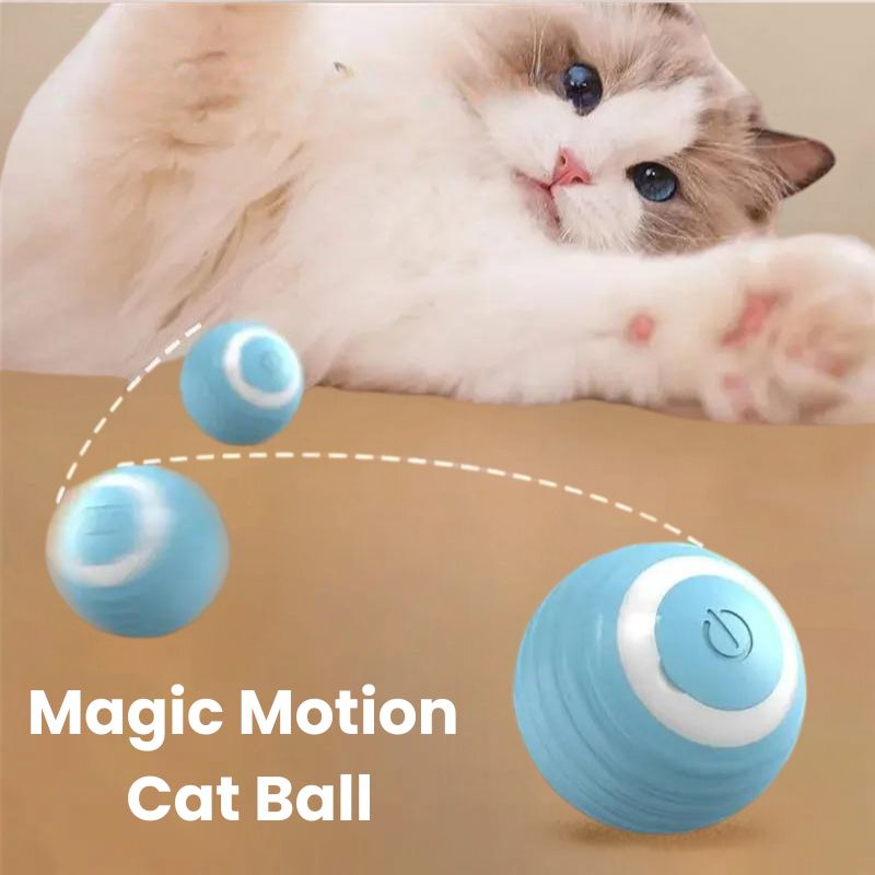 Magic Motion Cat Ball