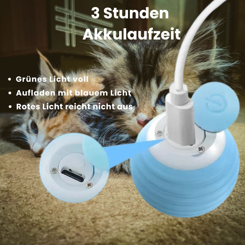 Magic Motion Cat Ball