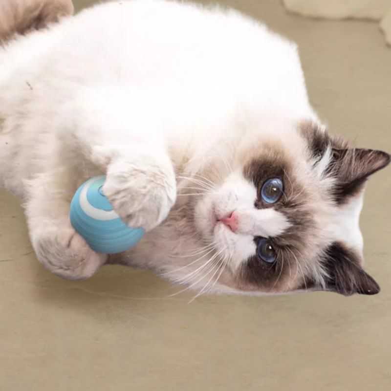 Magic Motion Cat Ball