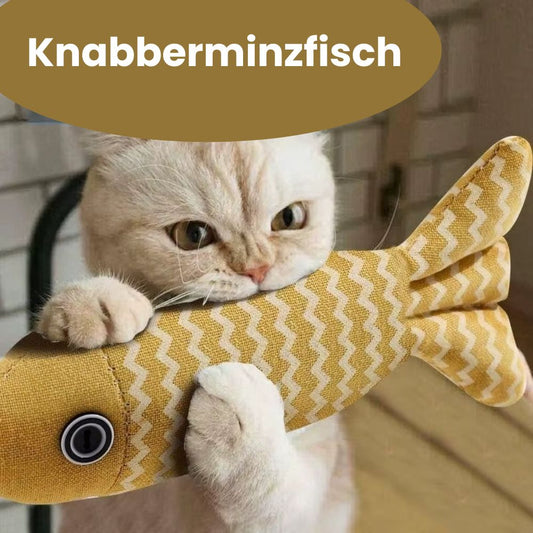 Knabberminzfisch