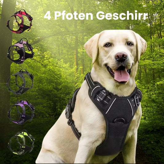 4 Pfoten Geschirr