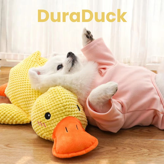 Dura Duck