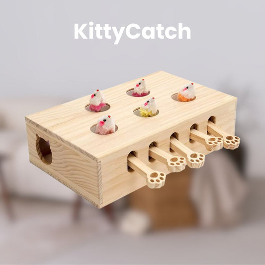 Kitty Catch