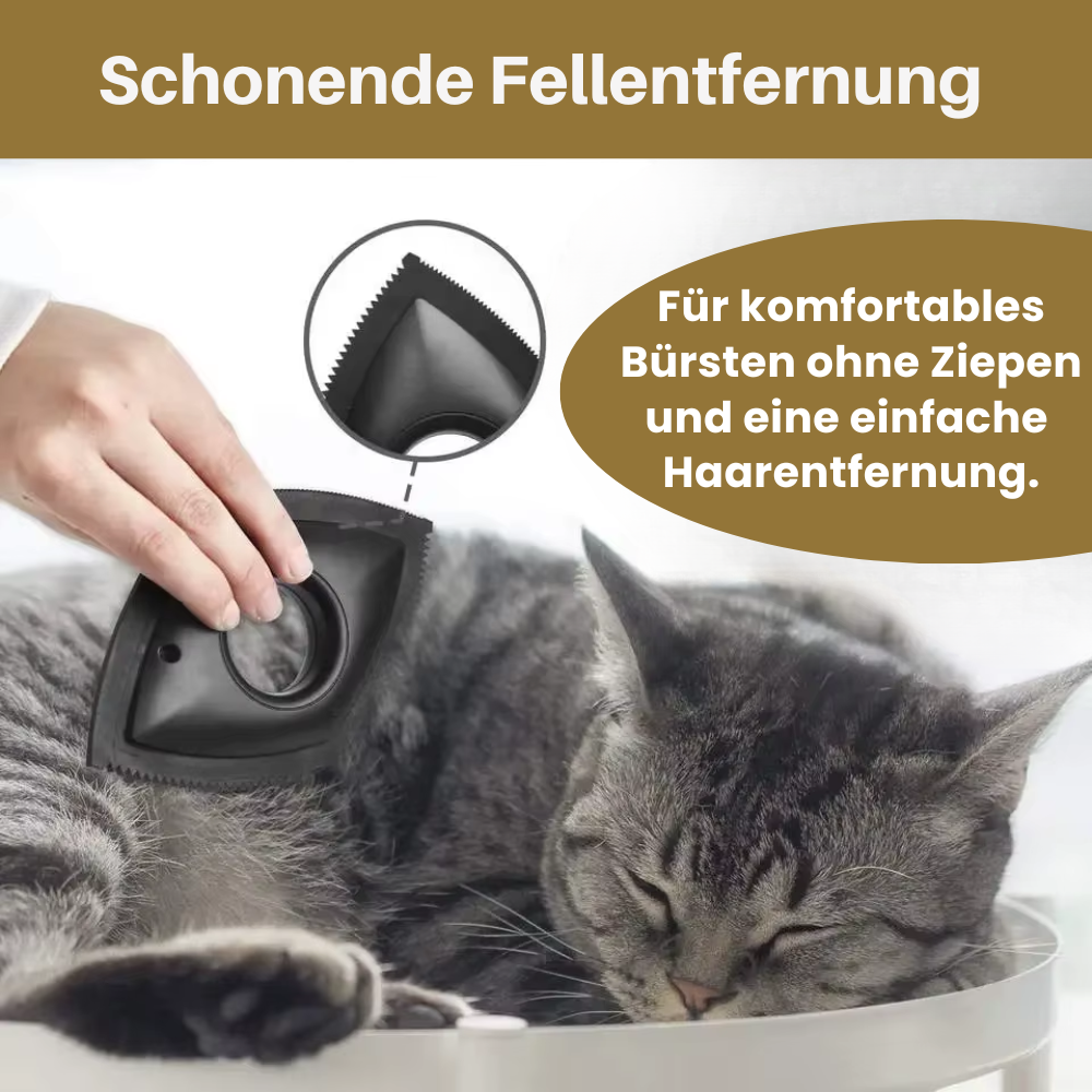 Pet Scrub