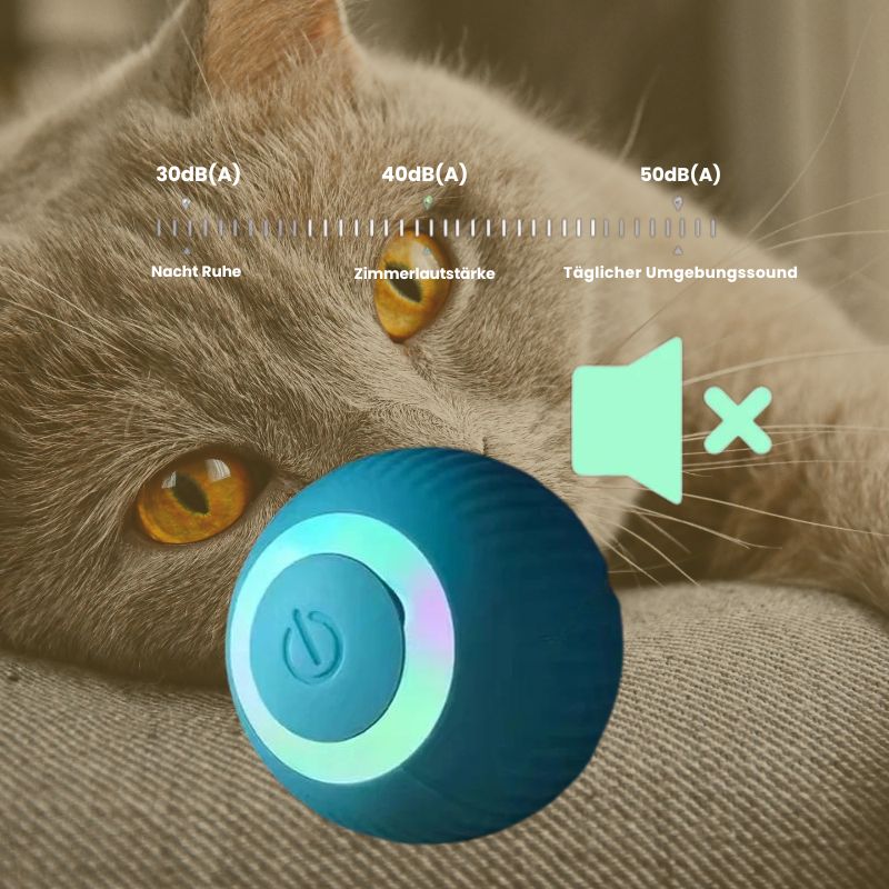 Magic Motion Cat Ball