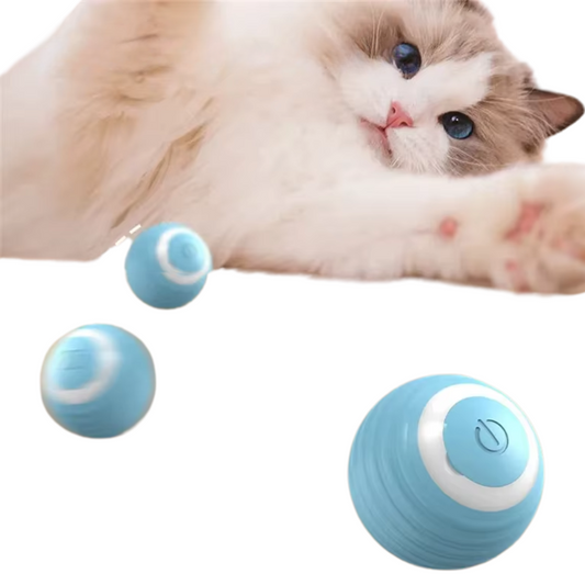 Magic Motion Cat Ball